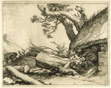 Dying tree image 1653