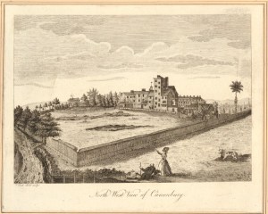 Wall with cow and country house