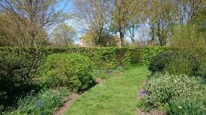 Wilderness Ham House 2016